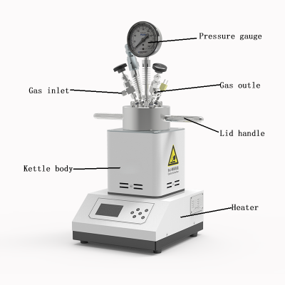 Lab Chemistry Synthesis High Pressured Heat Vessel Thermal Autoclave