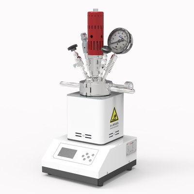 One Key Quick Open High Pressure Reactor