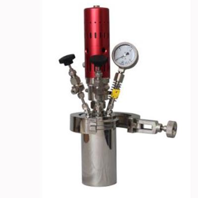 One Key Quick Open High Pressure Reactor
