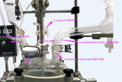 Double Layer 50L Chemical Glass Reactor Overhead Stirrers