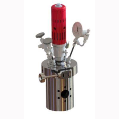 Observation Window High Pressure Reactor