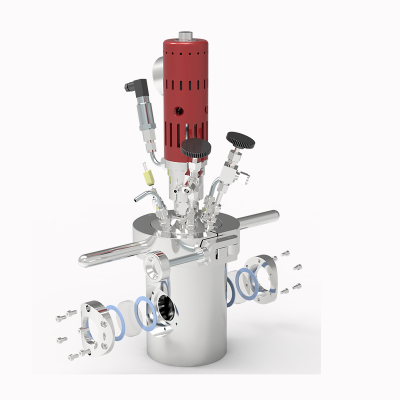 Observation Window High Pressure Reactor