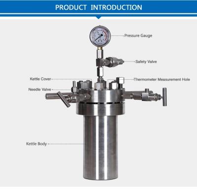 Laboratory Autoclave Simple High Pressure Stirring Reactor