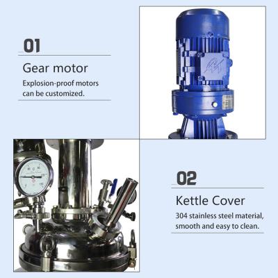 Lab 20L 30L 40LChemical Reactor Stainless Steel Reactor