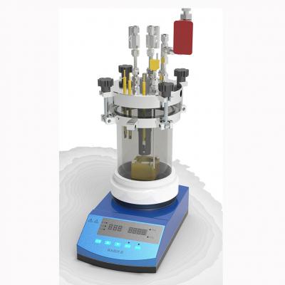 Intelligence Electrochemical High Pressure Reactor