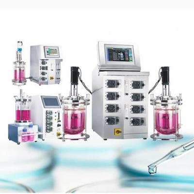 Microbiology mycelium fermenter bioreactor