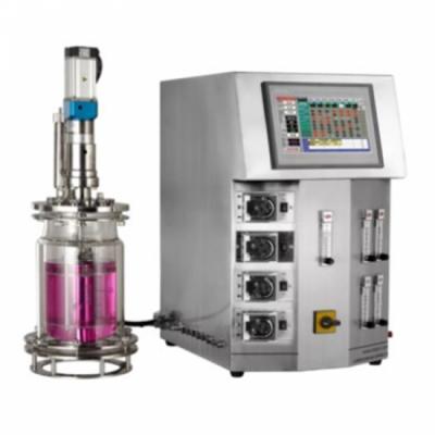 Plant cell fermenter bioreactor industrial