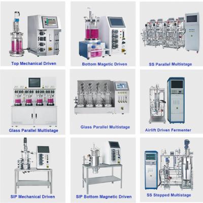 Manufacturer Fermentation Bioreactor Immersion System Fermenter