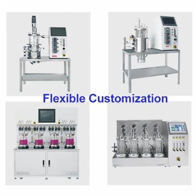 Microbiology mycelium fermenter bioreactor