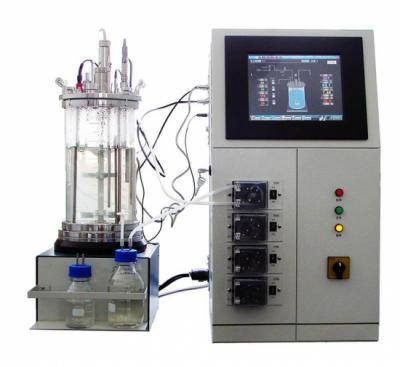 Chemical Glass Reactor