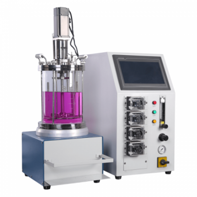 Chemical Glass Reactor