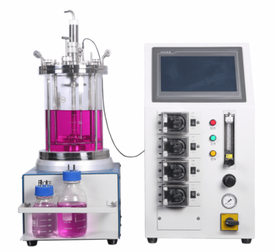 Chemical Glass Reactor