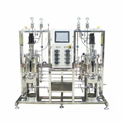 Chemical Glass Reactor