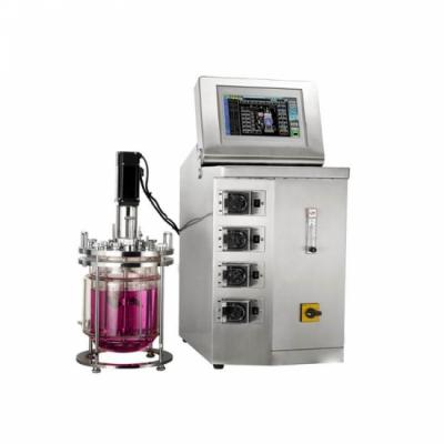 Chemical Glass Reactor
