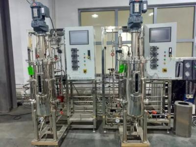 Chemical Glass Reactor