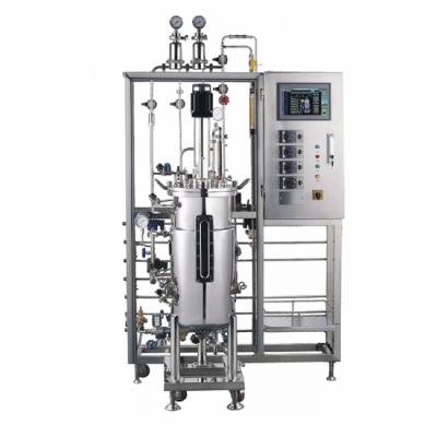 Chemical Glass Reactor