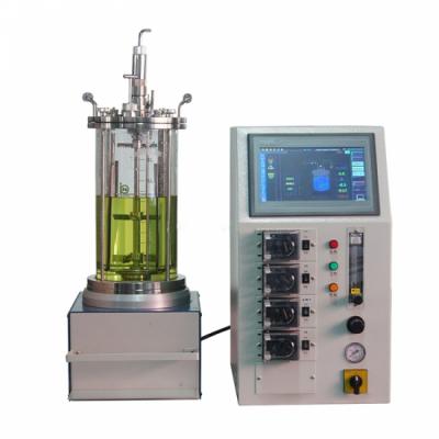 Chemical Glass Reactor
