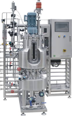 Chemical Glass Reactor