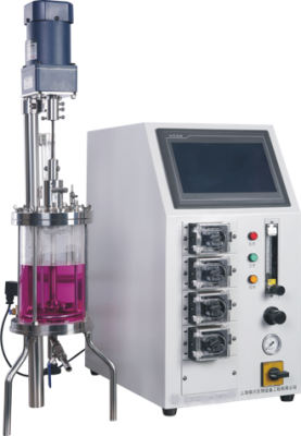 Customizable Glassware Bioreactor 5l for Cell Culture