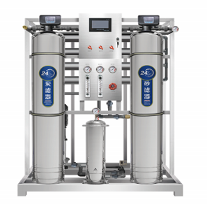 0.5T Water treatment equipment in small food factory Production of drinking water