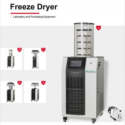 fruit vacuum drying machine food dehydrator vacuum freeze dryer with factory price