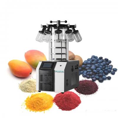 fruit vacuum drying machine food dehydrator vacuum freeze dryer with factory price