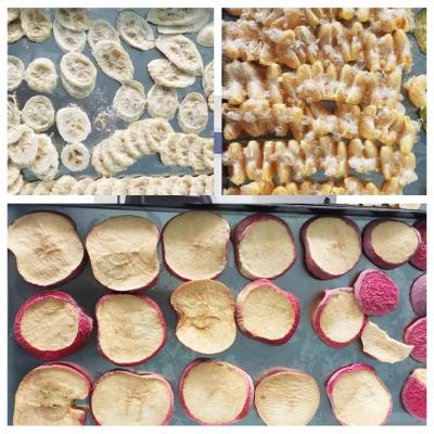 Home lyophilization homemade food freeze dryer household vacuum pump freeze dryer