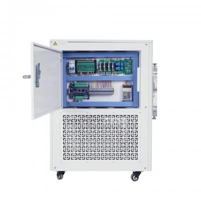 Home lyophilization homemade food freeze dryer household vacuum pump freeze dryer