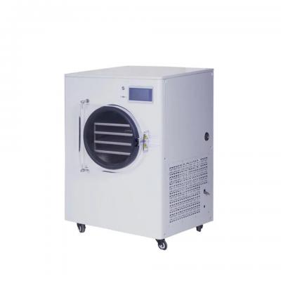 Home lyophilization homemade food freeze dryer household vacuum pump freeze dryer