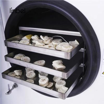 Home lyophilization homemade food freeze dryer household vacuum pump freeze dryer