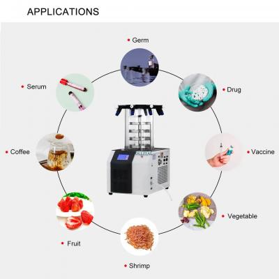 fruit vacuum drying machine food dehydrator vacuum freeze dryer with factory price