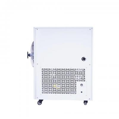 Home lyophilization homemade food freeze dryer household vacuum pump freeze dryer