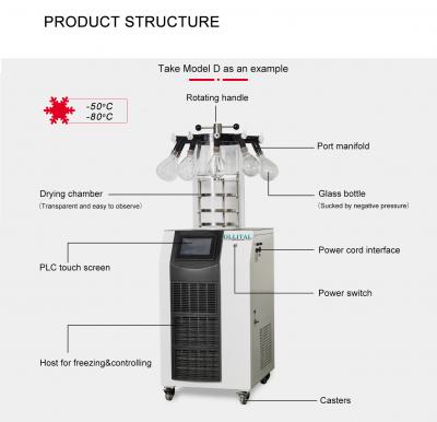 fruit vacuum drying machine food dehydrator vacuum freeze dryer with factory price