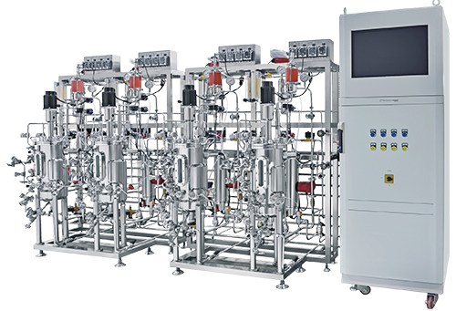 Bioreactor & Fermentation