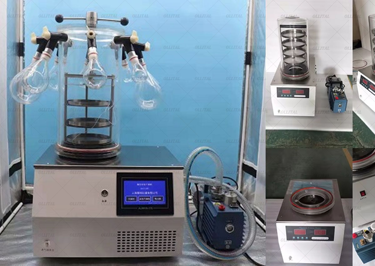 Freeze dryers: ideal for the food and pharmaceutical industries