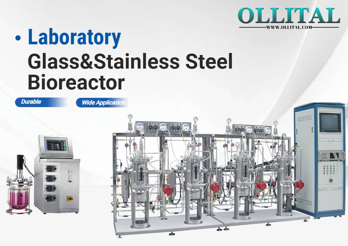 Exploring Laboratory Bioreactors and Fermentation Tanks in the Bioprocess Industry
