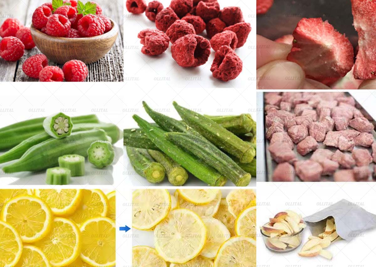 Innovative technology, precise drying - the new freeze dryer is launched, opening a new era of material drying