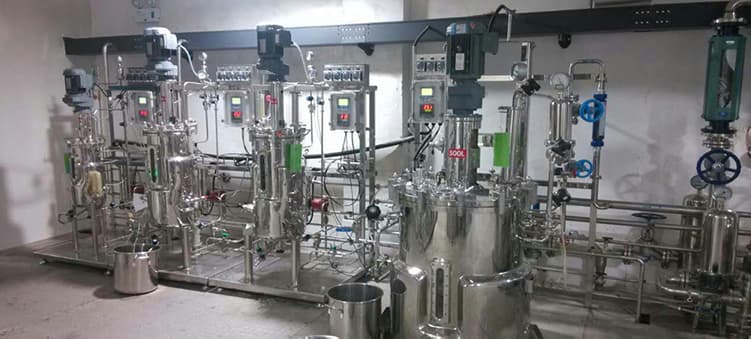 1000L Fermentation System Project