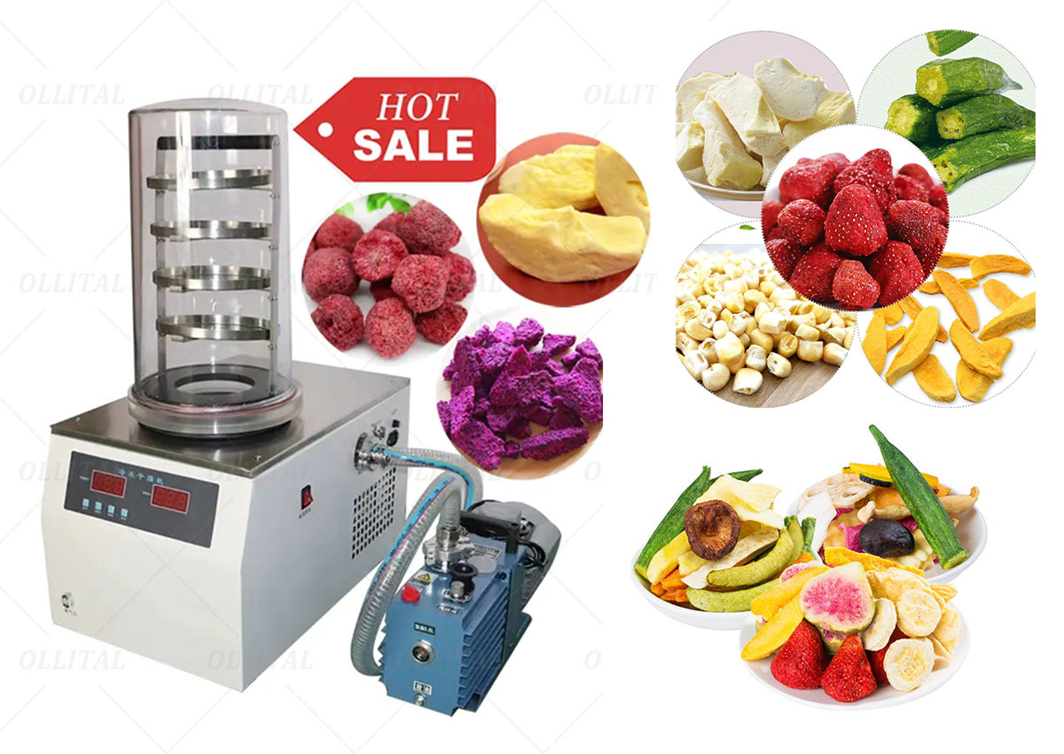 Industrial Vacuum Freeze Drying Machine Dryer For Food Fruit