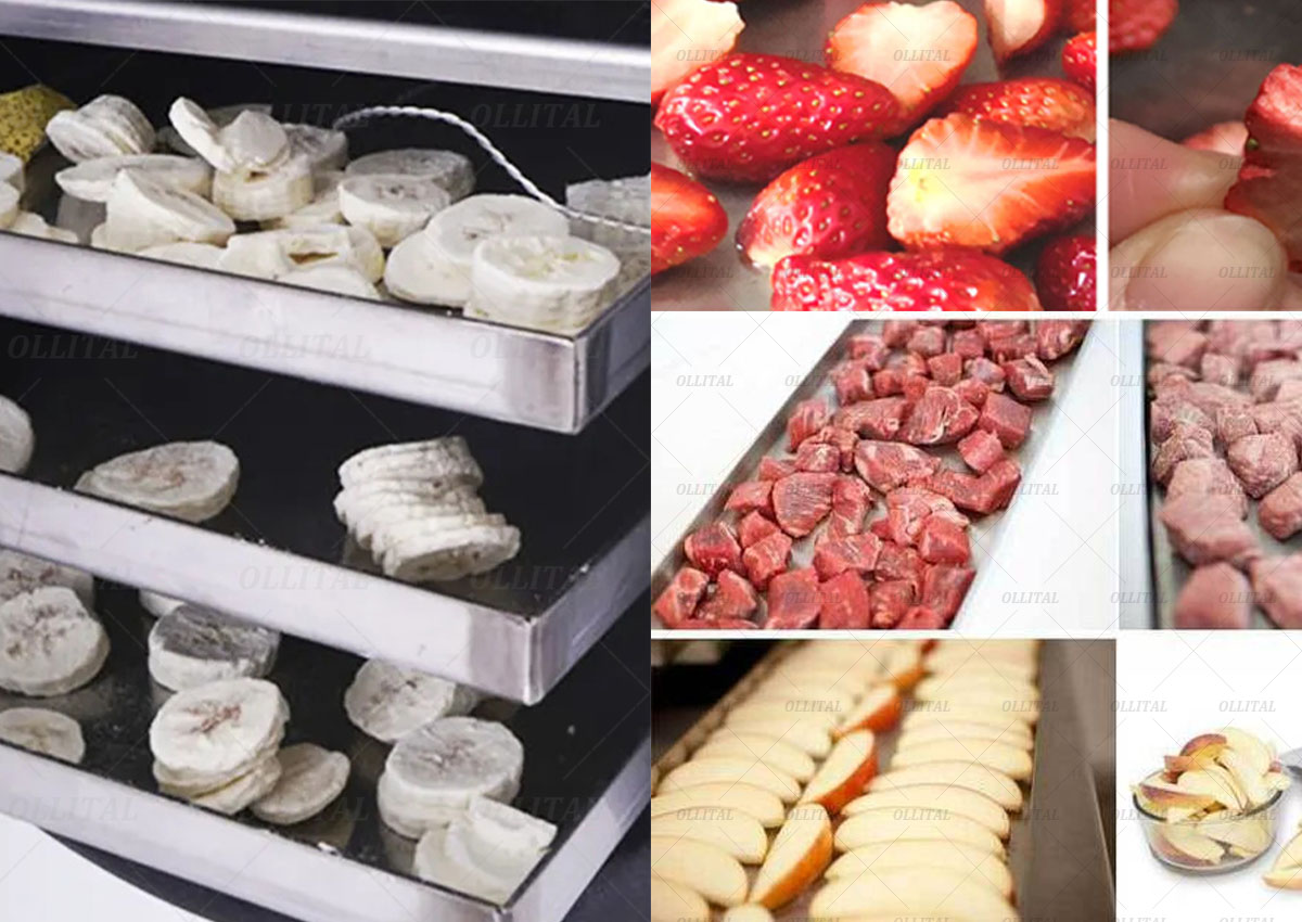 Precise quality preservation, no loss of activity - freeze dryers make scientific research and production more efficient