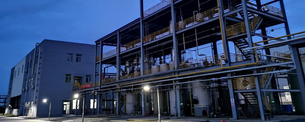 Joint Lactic Acid Industrialization Project
