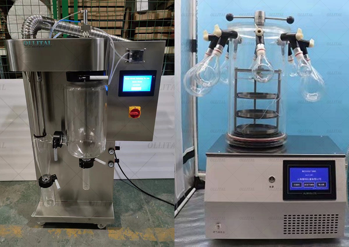 Spray Dryer vs. Freeze Dryer: Key Differences Explained