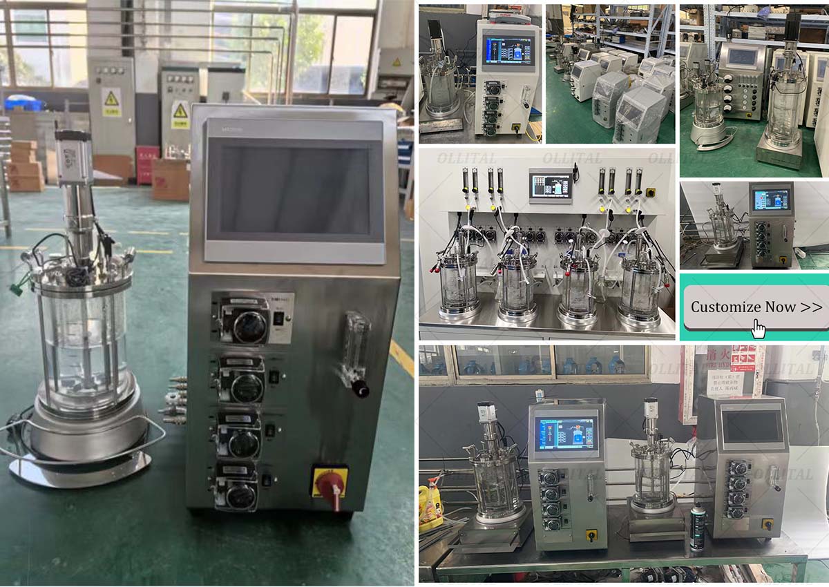 Upgrade of biological fermentation technology - 5L glass fermentation tank is launched