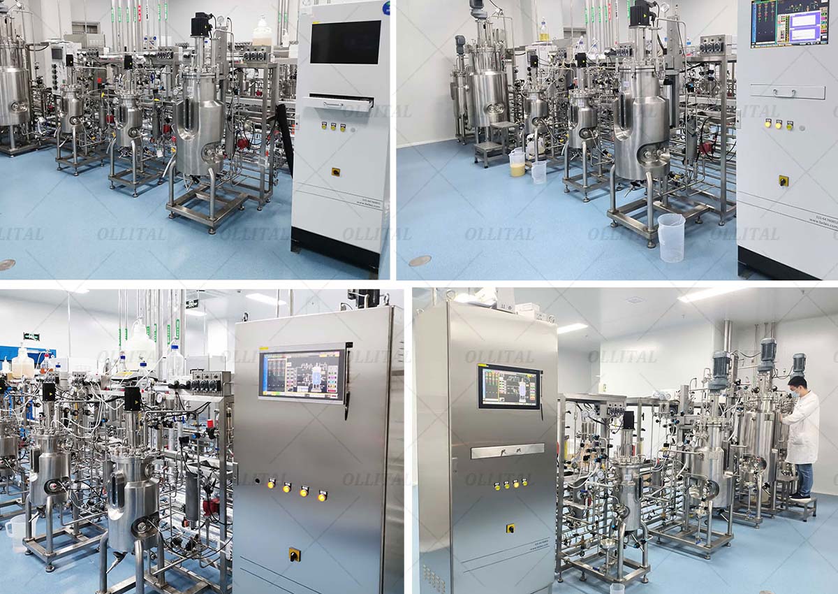 Classification of Bioreactors