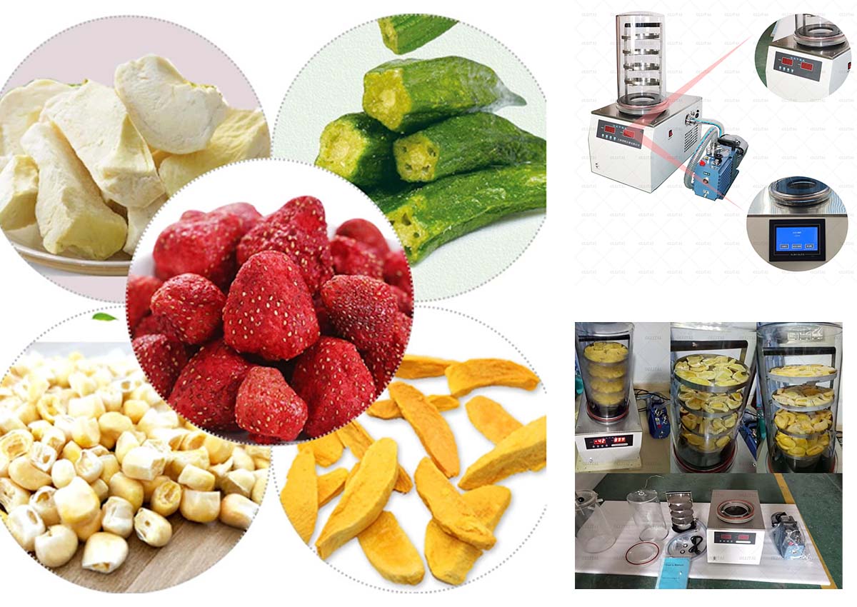Desktop freeze dryer: the new favorite in the laboratory, the future of freeze drying!