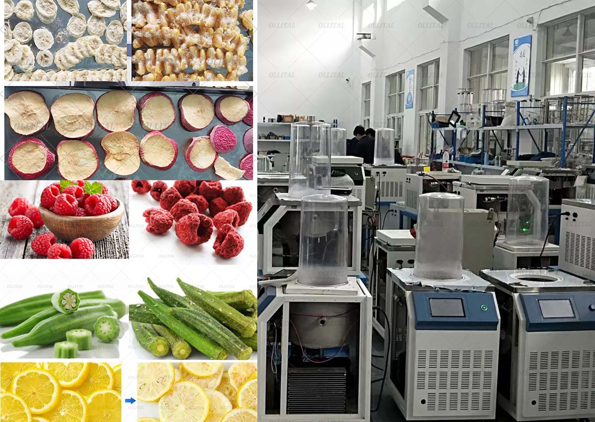 Laboratory freeze dryer makes scientific research more accurate