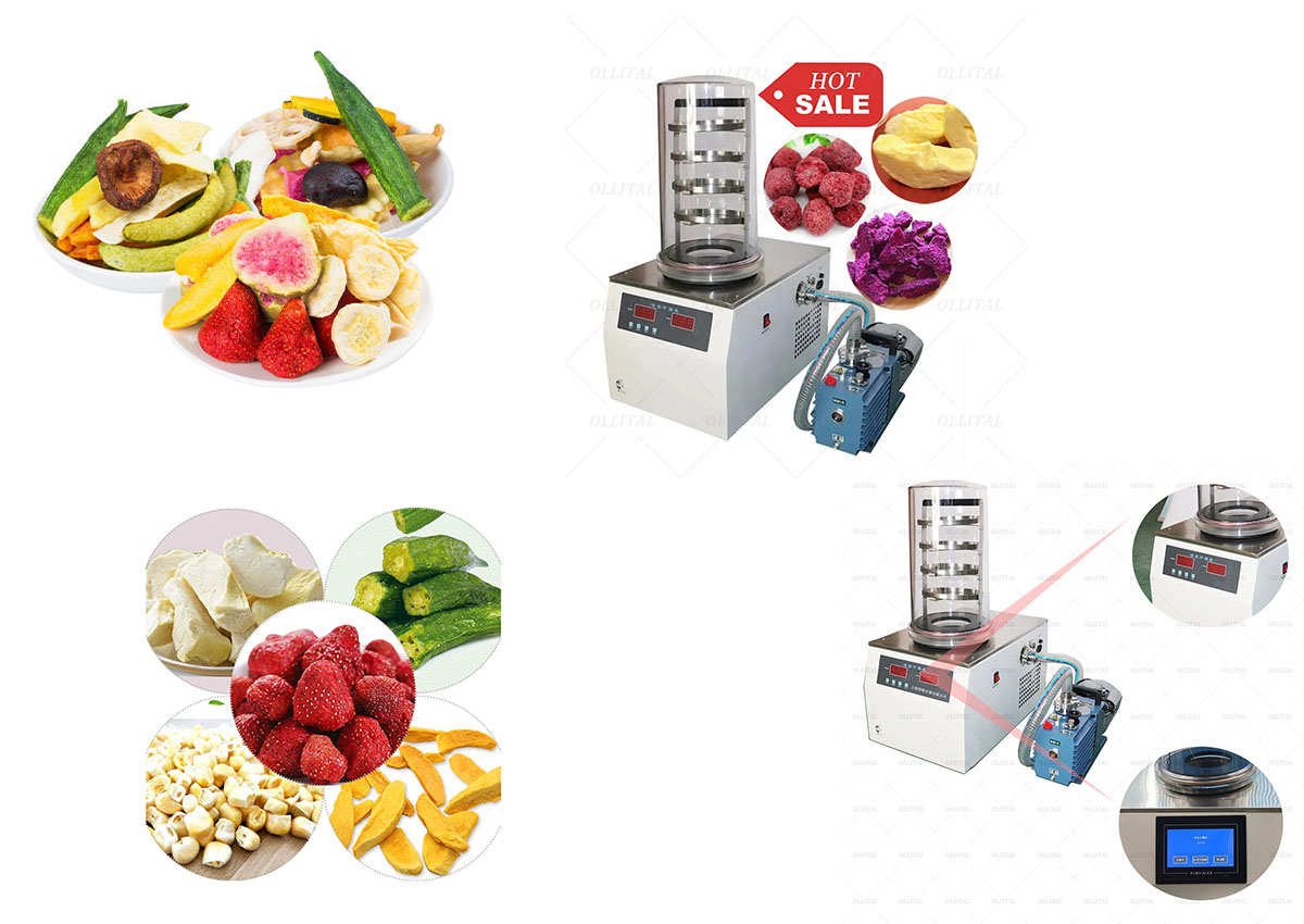 Freeze Dryer: Develop new types of freeze-dried snacks